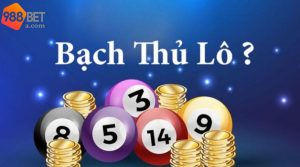 Bạch Thủ Lô Là Gì