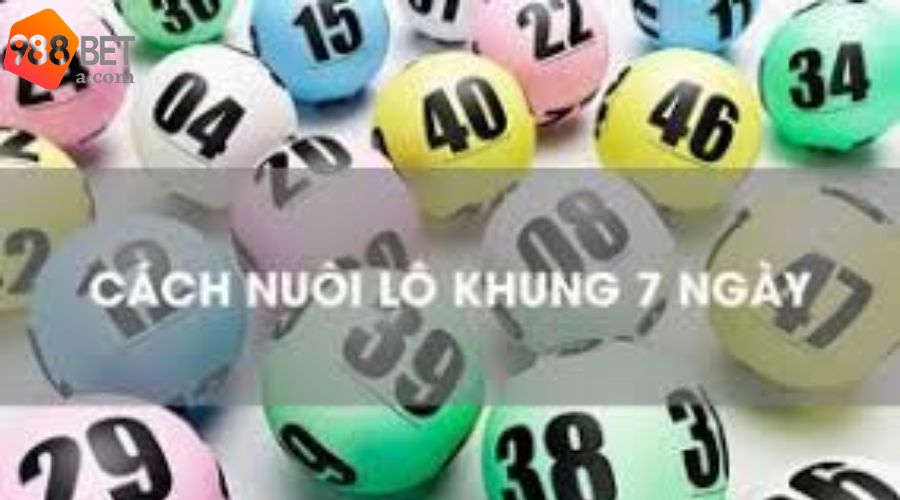 Vài nét tổng quan về nuôi lô khung 7 ngày